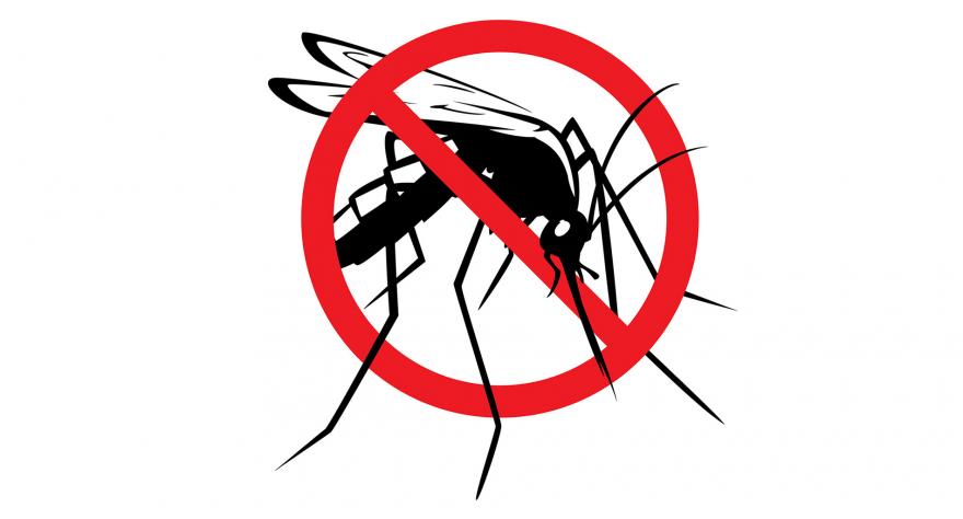 У понедељак почиње сузбијање комараца са земље