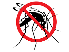 Sutra tretman suzbijanja larvi komaraca u 7 naselja
