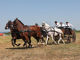 Sremački ajgir okupio 50 zaprega na fijakerijadi u Ogaru