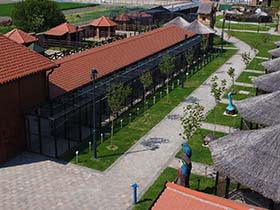 Бесплатна посета зоо-врту викендима за грађане пећиначке општине