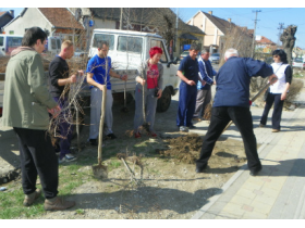 Озелењавање Шимановаца