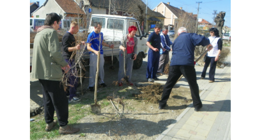 Озелењавање Шимановаца