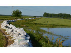 Купиново у 19 часова 19.05.2014.