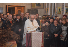 Историјски Бадњи дан за Доњи Товарник