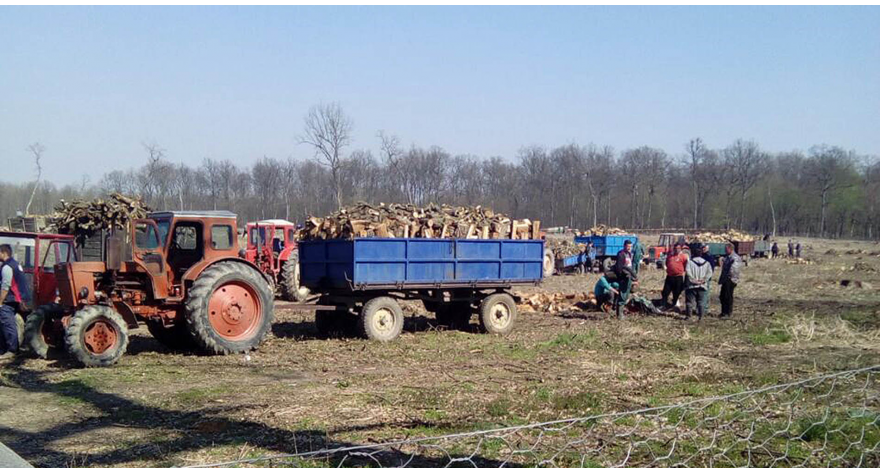 До огрева сарадњом Општине и Шумске управе