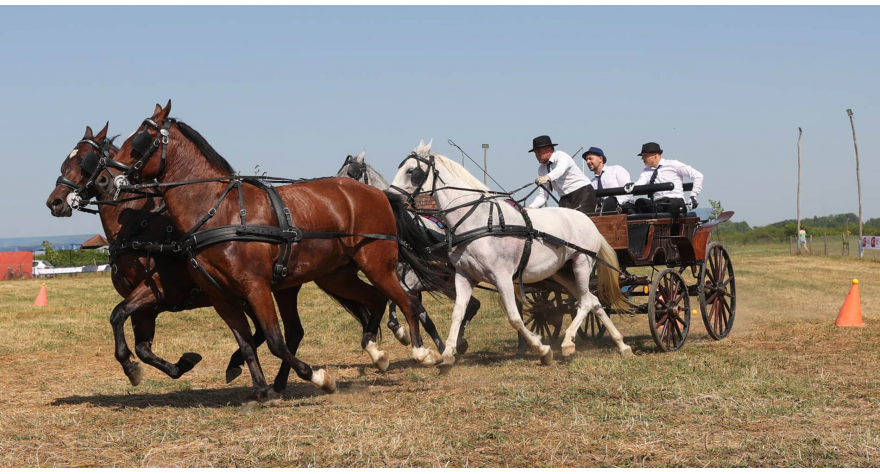 Sremački ajgir okupio 50 zaprega na fijakerijadi u Ogaru