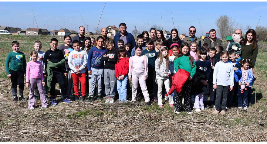 COFICAB realizovao akciju pošumljavanja u opštini Pećinci