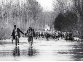 Емилија Бастајић - Евакуација